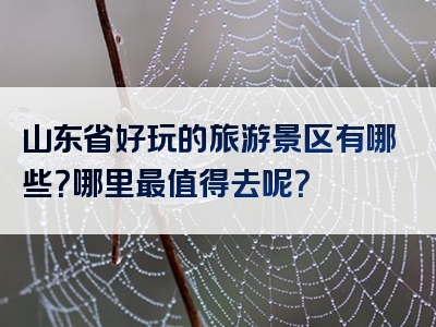 山东省好玩的旅游景区有哪些？哪里最值得去呢？