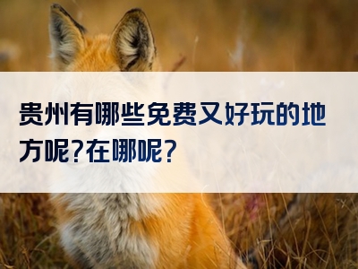 贵州有哪些免费又好玩的地方呢？在哪呢？