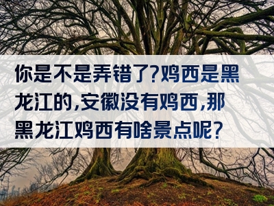 你是不是弄错了？鸡西是黑龙江的，安徽没有鸡西，那黑龙江鸡西有啥景点呢？