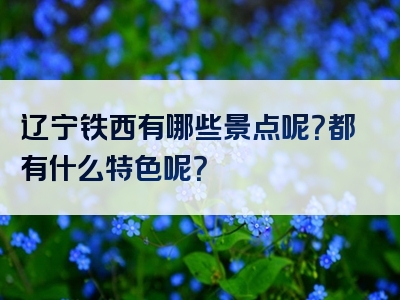 辽宁铁西有哪些景点呢？都有什么特色呢？