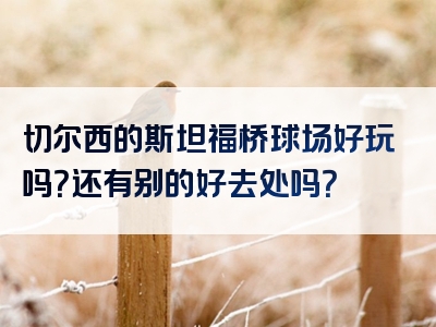切尔西的斯坦福桥球场好玩吗？还有别的好去处吗？