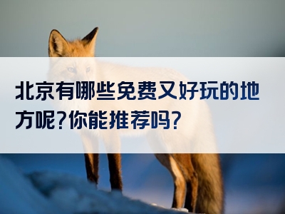 北京有哪些免费又好玩的地方呢？你能推荐吗？