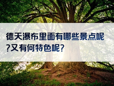 德天瀑布里面有哪些景点呢？又有何特色呢？