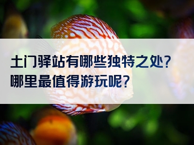 土门驿站有哪些独特之处？哪里最值得游玩呢？