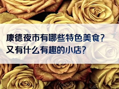 康德夜市有哪些特色美食？又有什么有趣的小店？