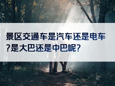 景区交通车是汽车还是电车？是大巴还是中巴呢？