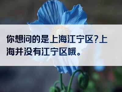 你想问的是上海江宁区？上海并没有江宁区哦。