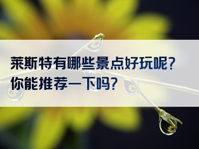 莱斯特有哪些景点好玩呢？你能推荐一下吗？