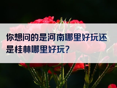 你想问的是河南哪里好玩还是桂林哪里好玩？