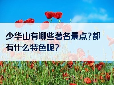 少华山有哪些著名景点？都有什么特色呢？