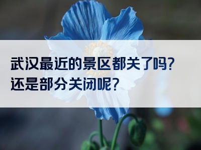 武汉最近的景区都关了吗？还是部分关闭呢？