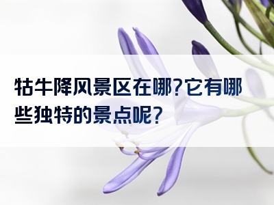 牯牛降风景区在哪？它有哪些独特的景点呢？