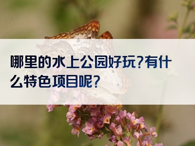 哪里的水上公园好玩？有什么特色项目呢？