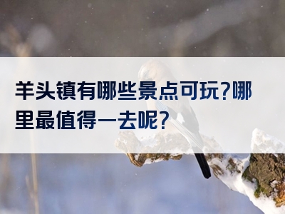 羊头镇有哪些景点可玩？哪里最值得一去呢？