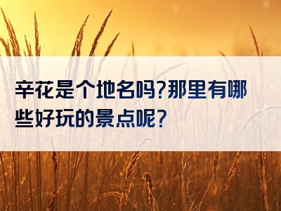 辛花是个地名吗？那里有哪些好玩的景点呢？