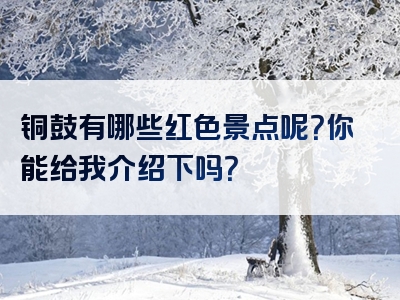 铜鼓有哪些红色景点呢？你能给我介绍下吗？