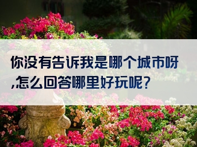 你没有告诉我是哪个城市呀，怎么回答哪里好玩呢？