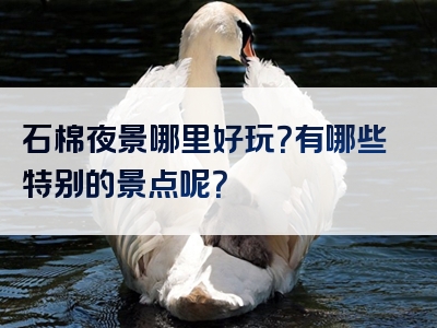 石棉夜景哪里好玩？有哪些特别的景点呢？