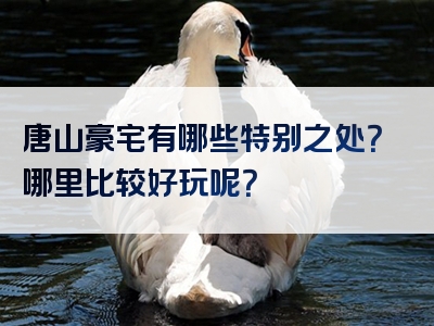 唐山豪宅有哪些特别之处？哪里比较好玩呢？
