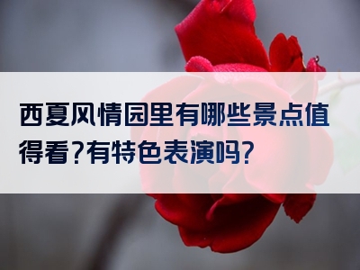 西夏风情园里有哪些景点值得看？有特色表演吗？