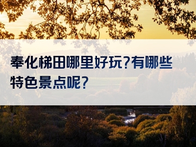 奉化梯田哪里好玩？有哪些特色景点呢？