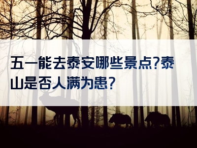 五一能去泰安哪些景点？泰山是否人满为患？
