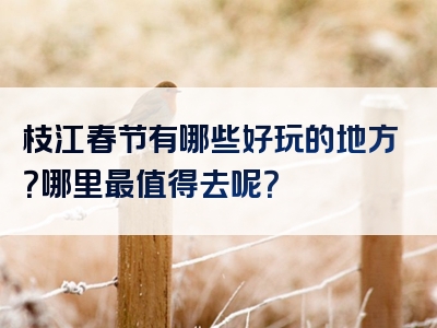 枝江春节有哪些好玩的地方？哪里最值得去呢？