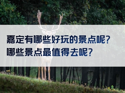 嘉定有哪些好玩的景点呢？哪些景点最值得去呢？