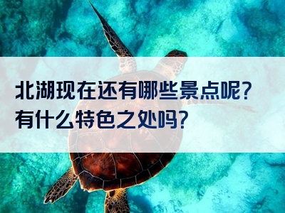 北湖现在还有哪些景点呢？有什么特色之处吗？