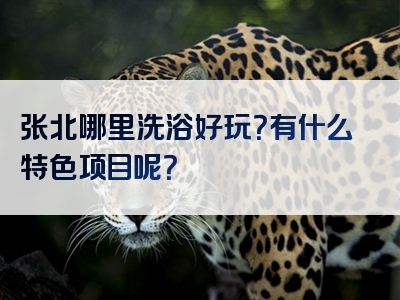 张北哪里洗浴好玩？有什么特色项目呢？