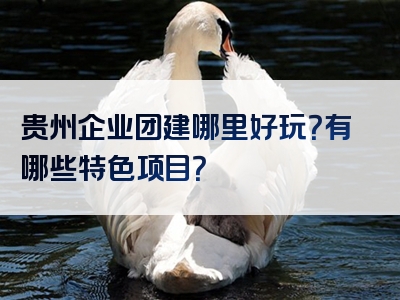贵州企业团建哪里好玩？有哪些特色项目？