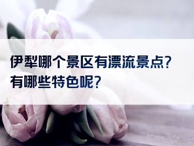伊犁哪个景区有漂流景点？有哪些特色呢？