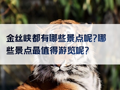 金丝峡都有哪些景点呢？哪些景点最值得游览呢？