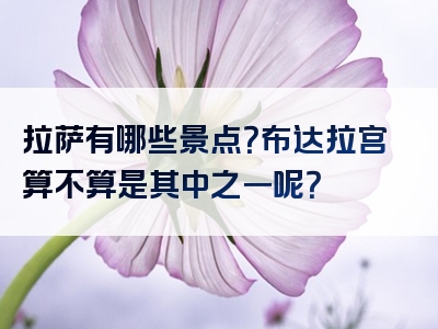 拉萨有哪些景点？布达拉宫算不算是其中之一呢？