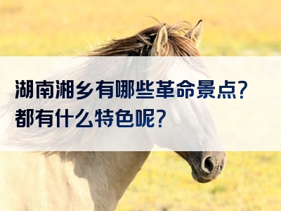 湖南湘乡有哪些革命景点？都有什么特色呢？