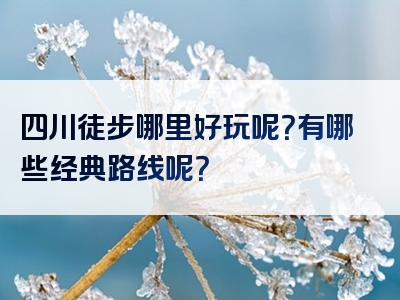 四川徒步哪里好玩呢？有哪些经典路线呢？
