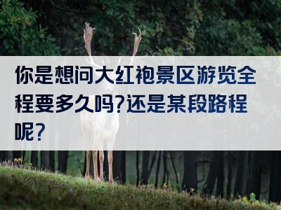 你是想问大红袍景区游览全程要多久吗？还是某段路程呢？