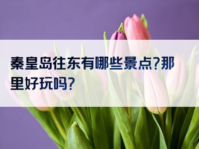 秦皇岛往东有哪些景点？那里好玩吗？