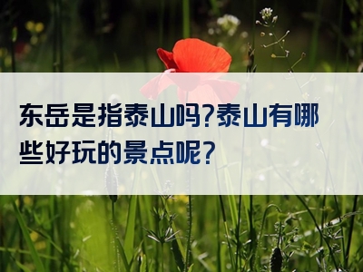 东岳是指泰山吗？泰山有哪些好玩的景点呢？