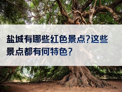 盐城有哪些红色景点？这些景点都有何特色？