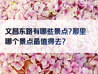 文昌东路有哪些景点？那里哪个景点最值得去？
