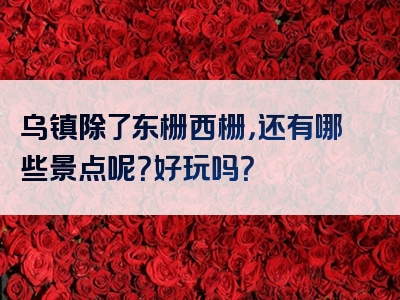 乌镇除了东栅西栅，还有哪些景点呢？好玩吗？