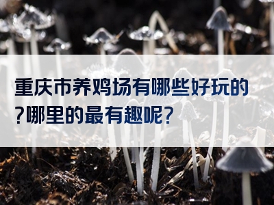 重庆市养鸡场有哪些好玩的？哪里的最有趣呢？