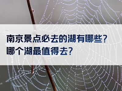 南京景点必去的湖有哪些？哪个湖最值得去？