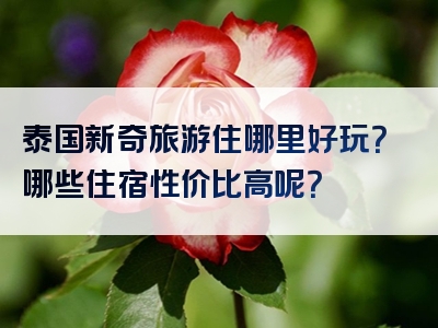 泰国新奇旅游住哪里好玩？哪些住宿性价比高呢？