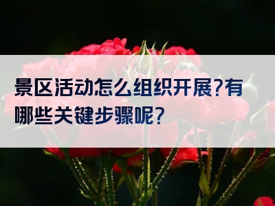 景区活动怎么组织开展？有哪些关键步骤呢？