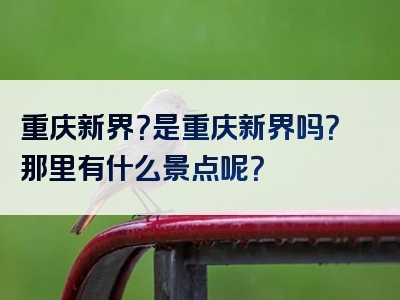 重庆新界？是重庆新界吗？那里有什么景点呢？