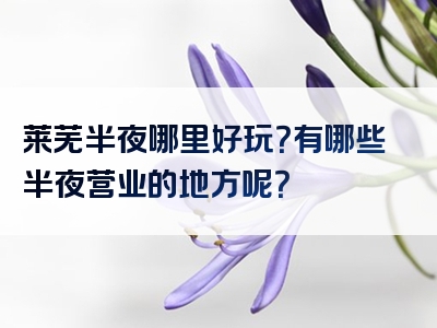 莱芜半夜哪里好玩？有哪些半夜营业的地方呢？
