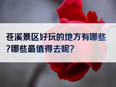苍溪景区好玩的地方有哪些？哪些最值得去呢？