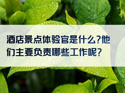 酒店景点体验官是什么？他们主要负责哪些工作呢？